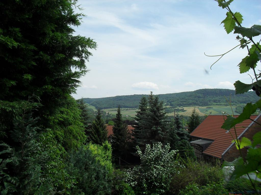 Ferienwohnung Bergblick Jena Værelse billede